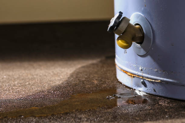 Best Mold removal after water damage  in Griffith, IN