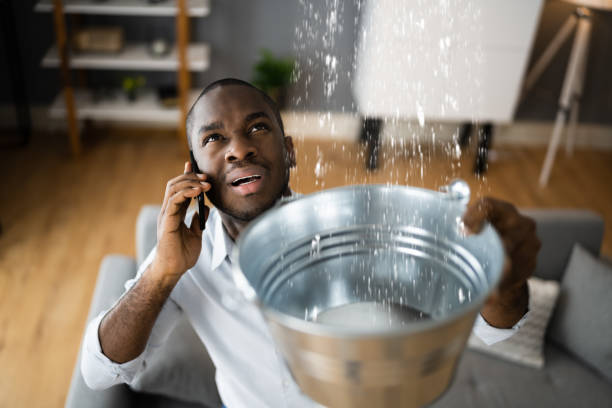 Best Flood restoration services  in Griffith, IN