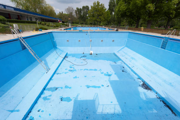 Best Basement water damage restoration  in Griffith, IN