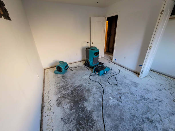 Best 24-hour water damage restoration  in Griffith, IN