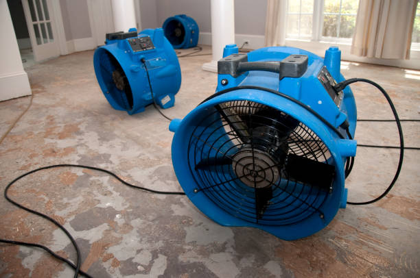 Reliable IN Water damage restoration Solutions