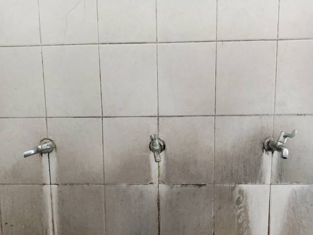 Best 24/7 water damage repair  in Griffith, IN