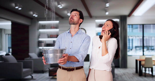 Best Water damage restoration near me  in Griffith, IN