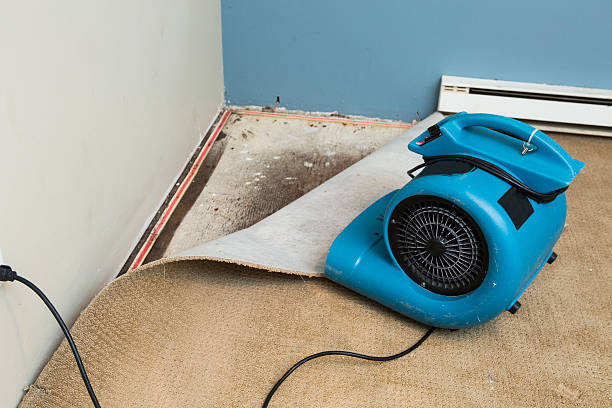 Best Professional water damage repair  in Griffith, IN